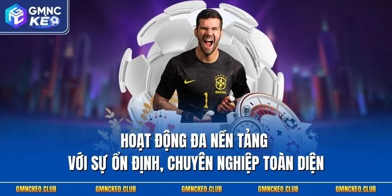 Hoạt động đa nền tảng với sự ổn định, chuyên nghiệp toàn diện