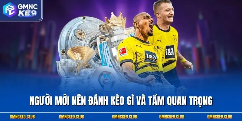 Người mới nên đánh kèo gì và tầm quan trọng